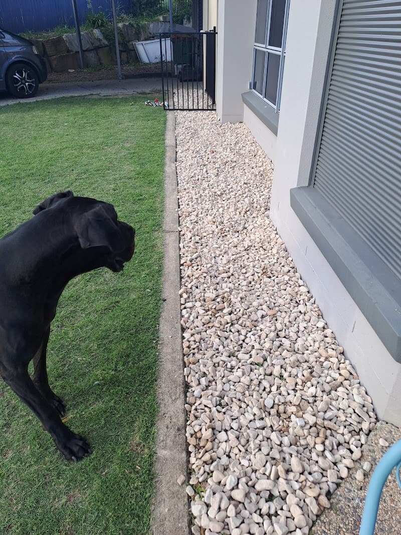 Sapar Landscaping Supplies Pty Ltd landscaping work in Raceview