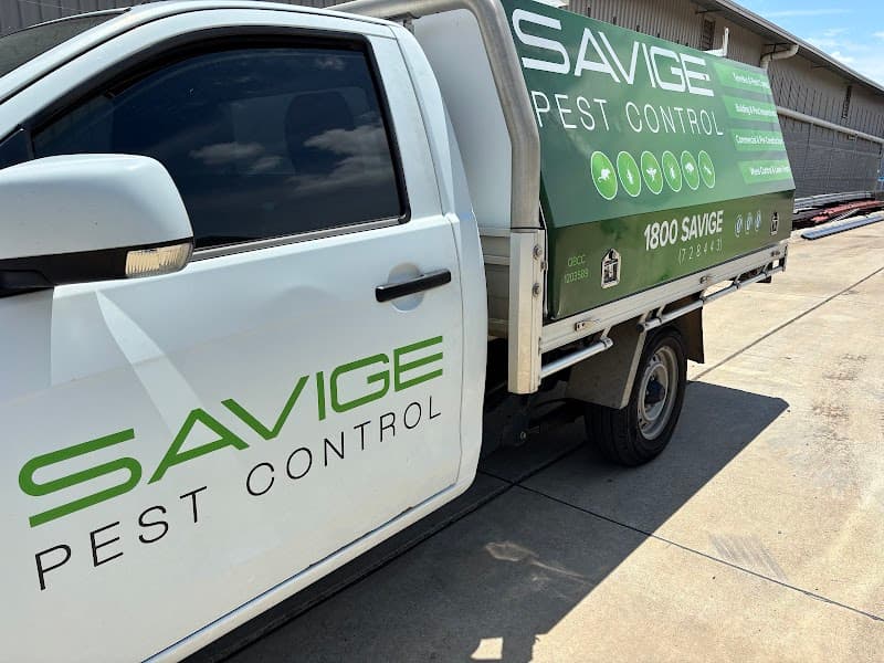 Savige Pest Control pest control work in Ipswich