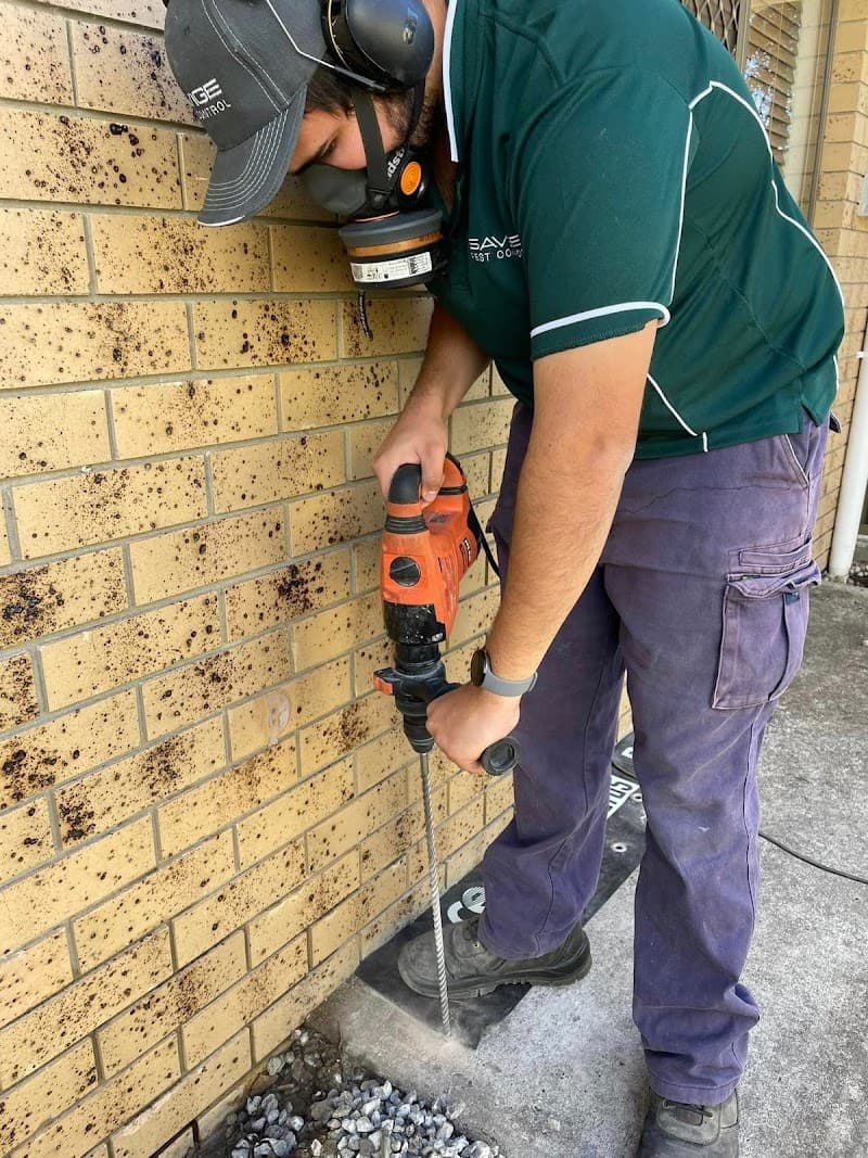 Savige Pest Control pest control work in Ipswich
