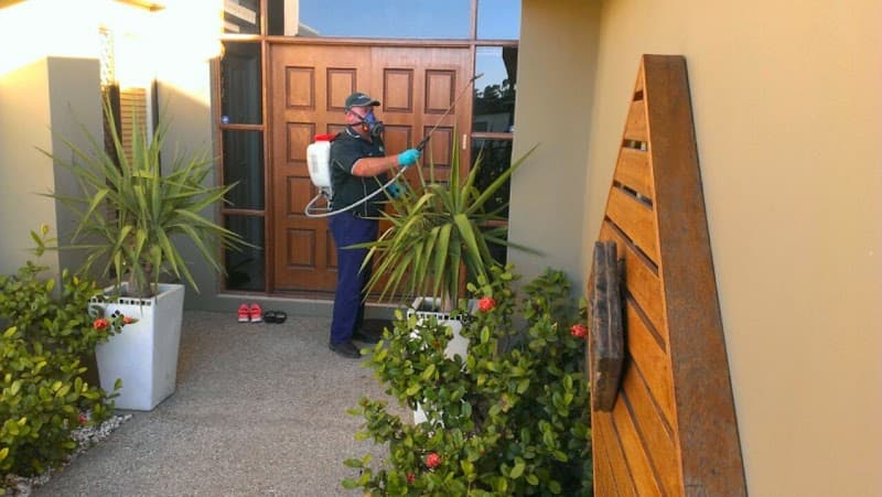 Savige Pest Control pest control work in Ipswich