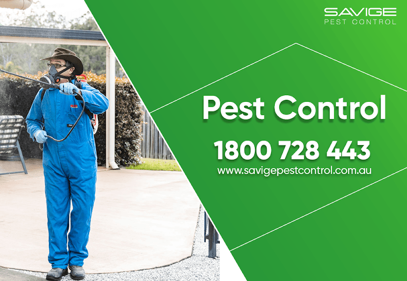 Savige Pest Control pest control work in Ipswich
