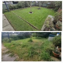 Saxon's lawn and Garden Care