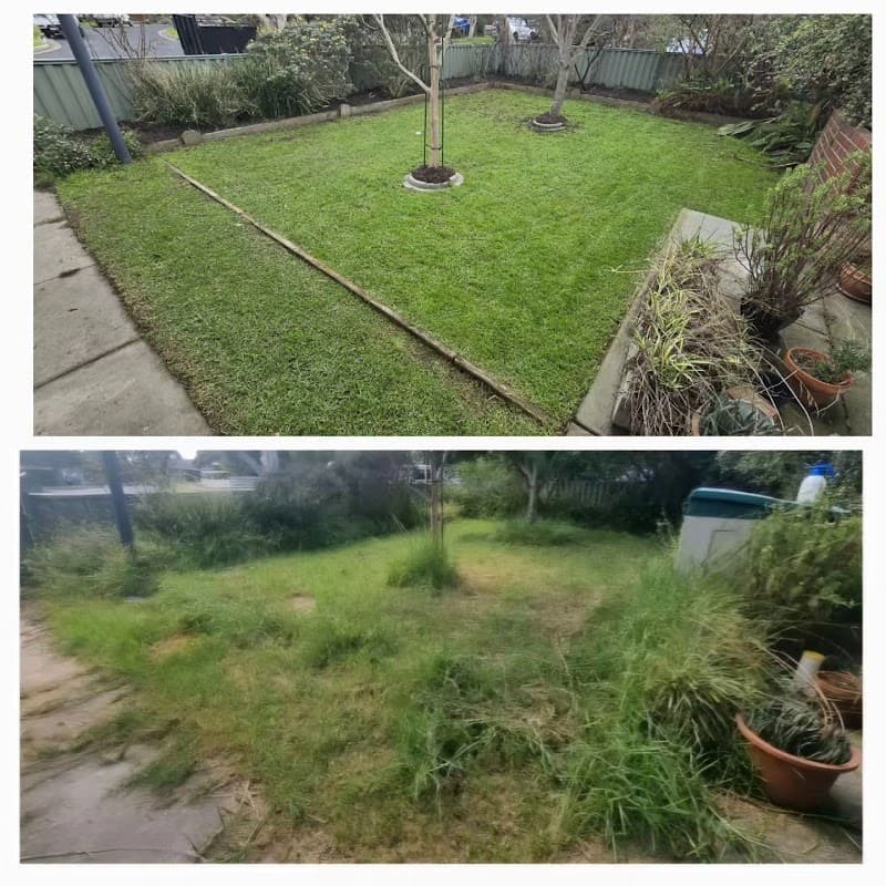 Saxon's lawn and Garden Care gardening work in Northcote