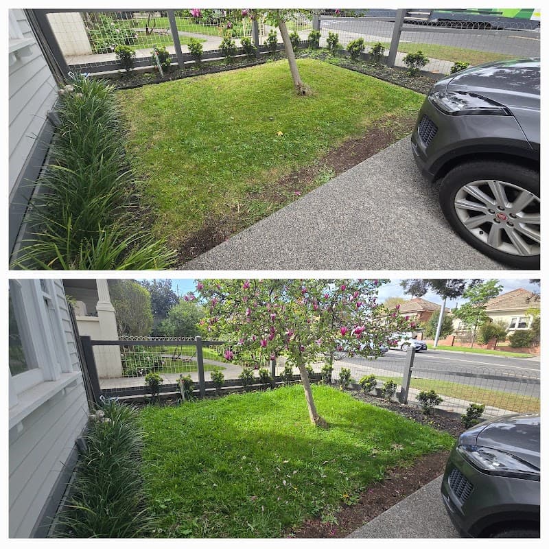 Saxon's lawn and Garden Care gardening work in Northcote