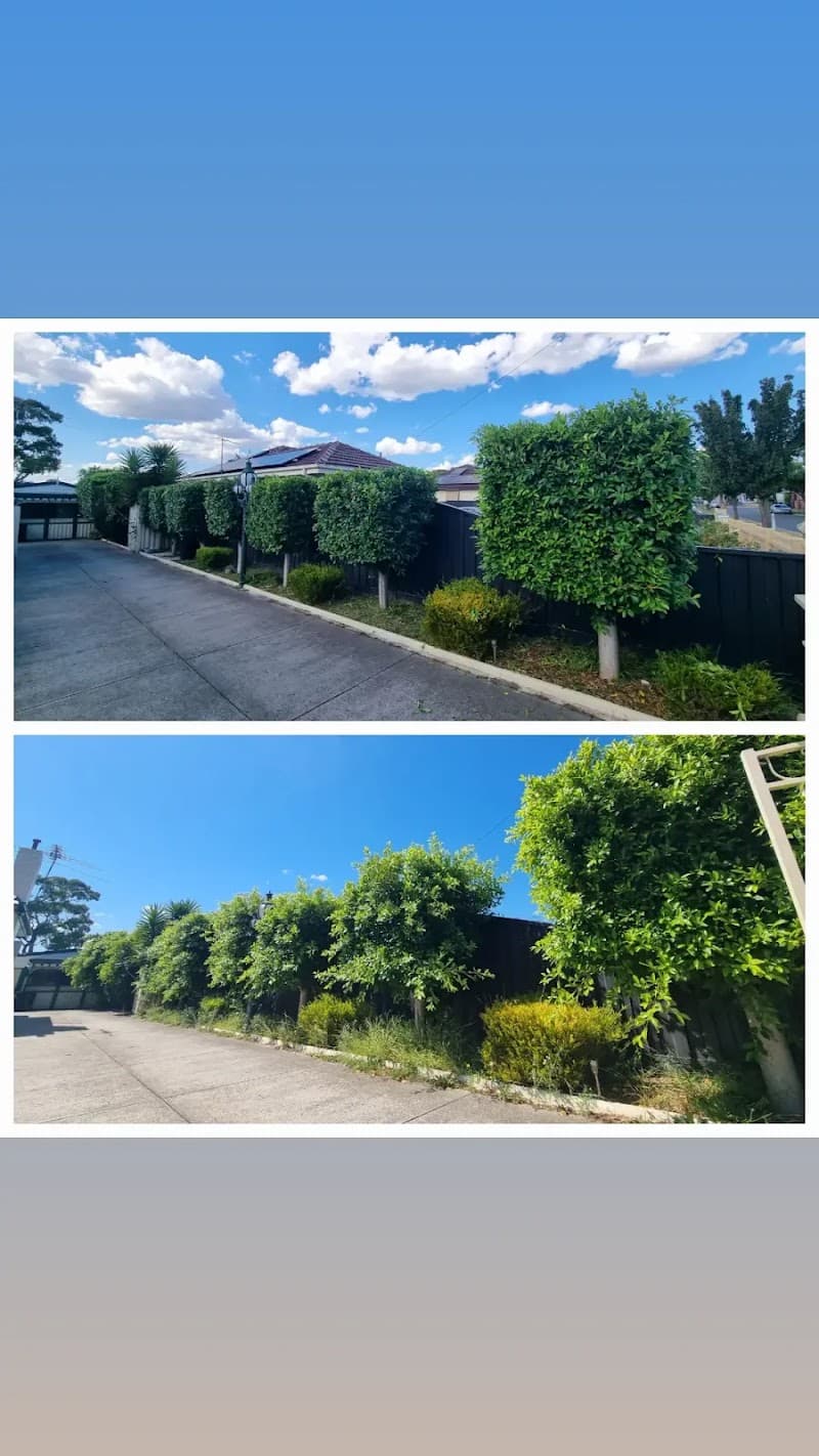 Saxon's lawn and Garden Care gardening work in Northcote