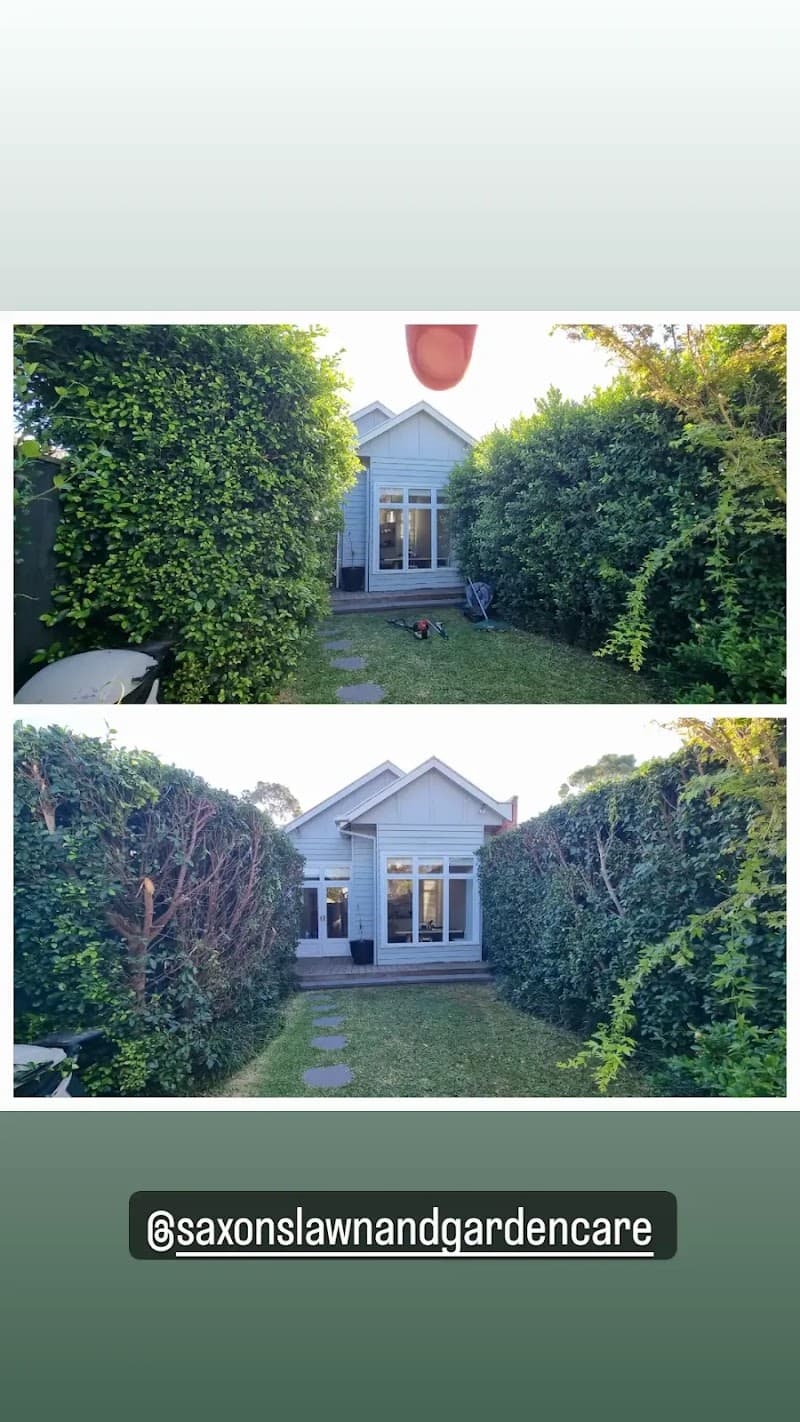 Saxon's lawn and Garden Care gardening work in Northcote