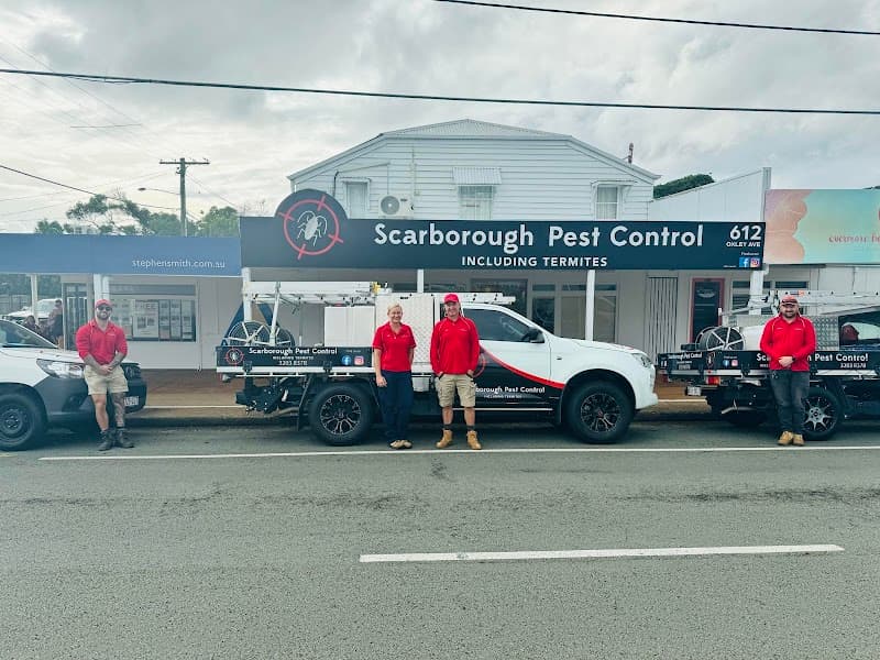 Scarborough Pest Control pest control work in Scarborough