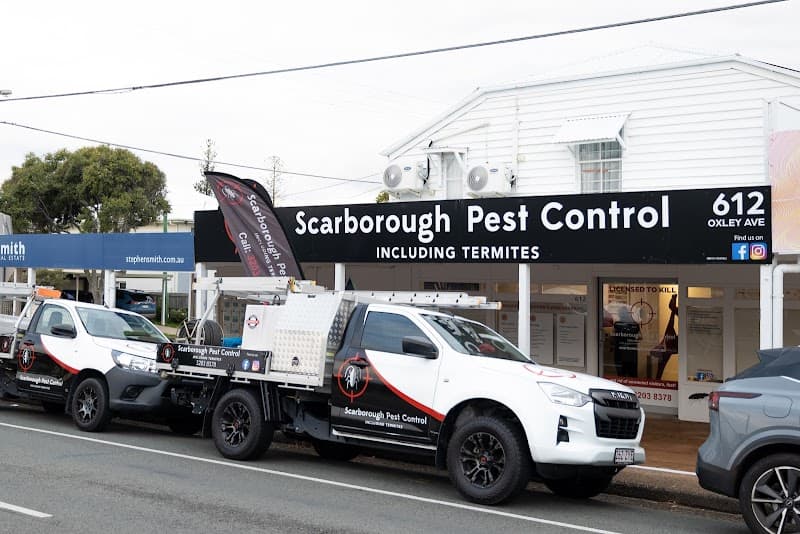 Scarborough Pest Control pest control work in Scarborough