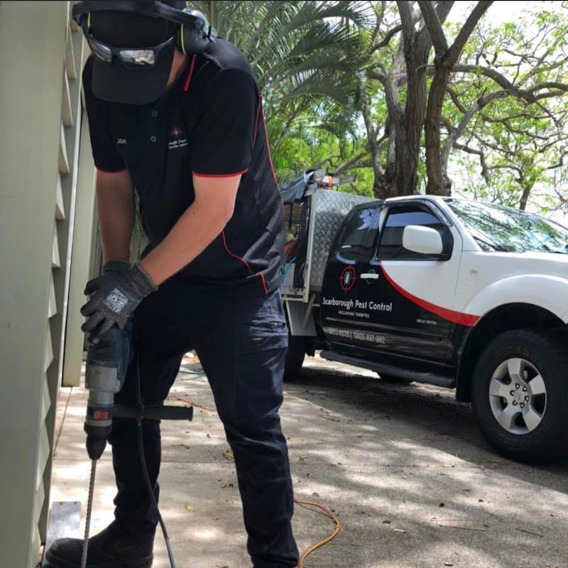 Scarborough Pest Control pest control work in Scarborough