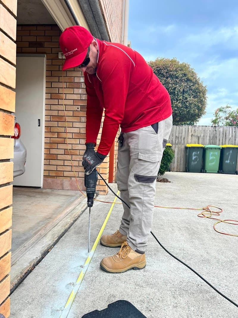 Scarborough Pest Control pest control work in Scarborough