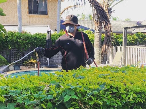 Scarborough Pest Control pest control work in Scarborough