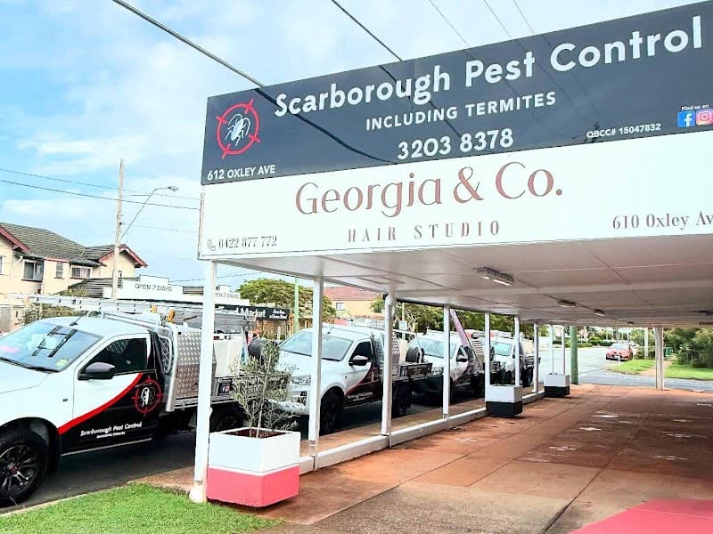 Scarborough Pest Control pest control work in Scarborough