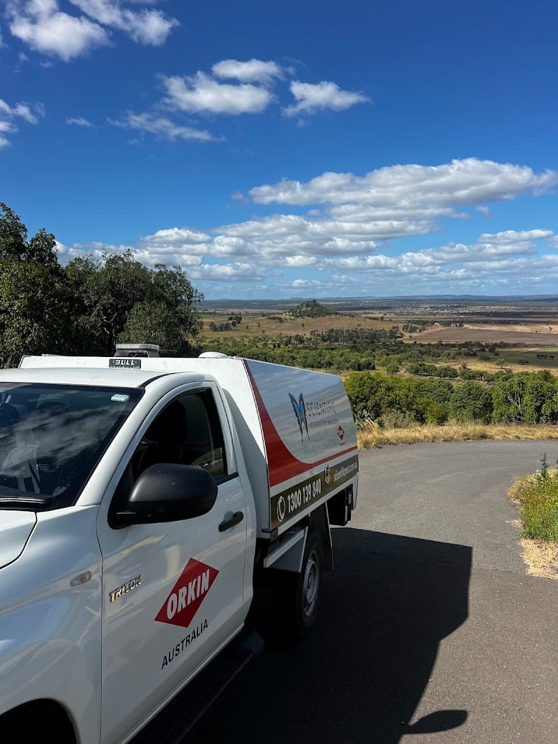 Scientific Pest and Vegetation Management pest control work in Kingston
