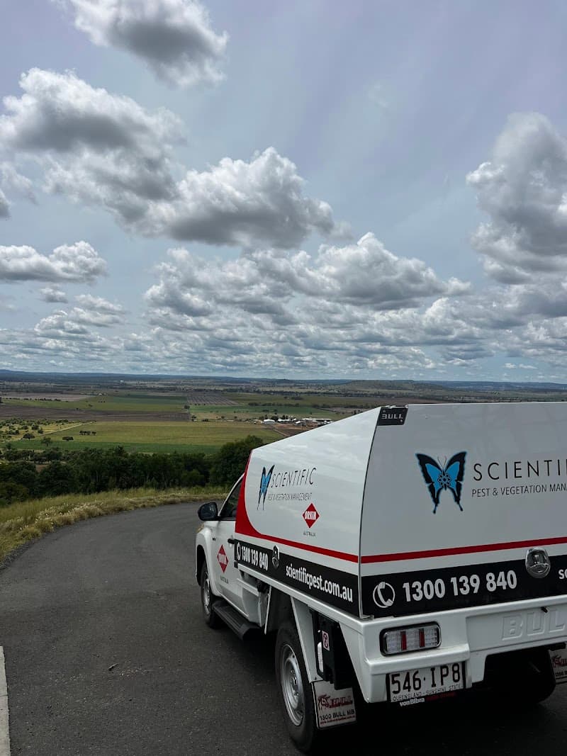 Scientific Pest and Vegetation Management pest control work in Kingston