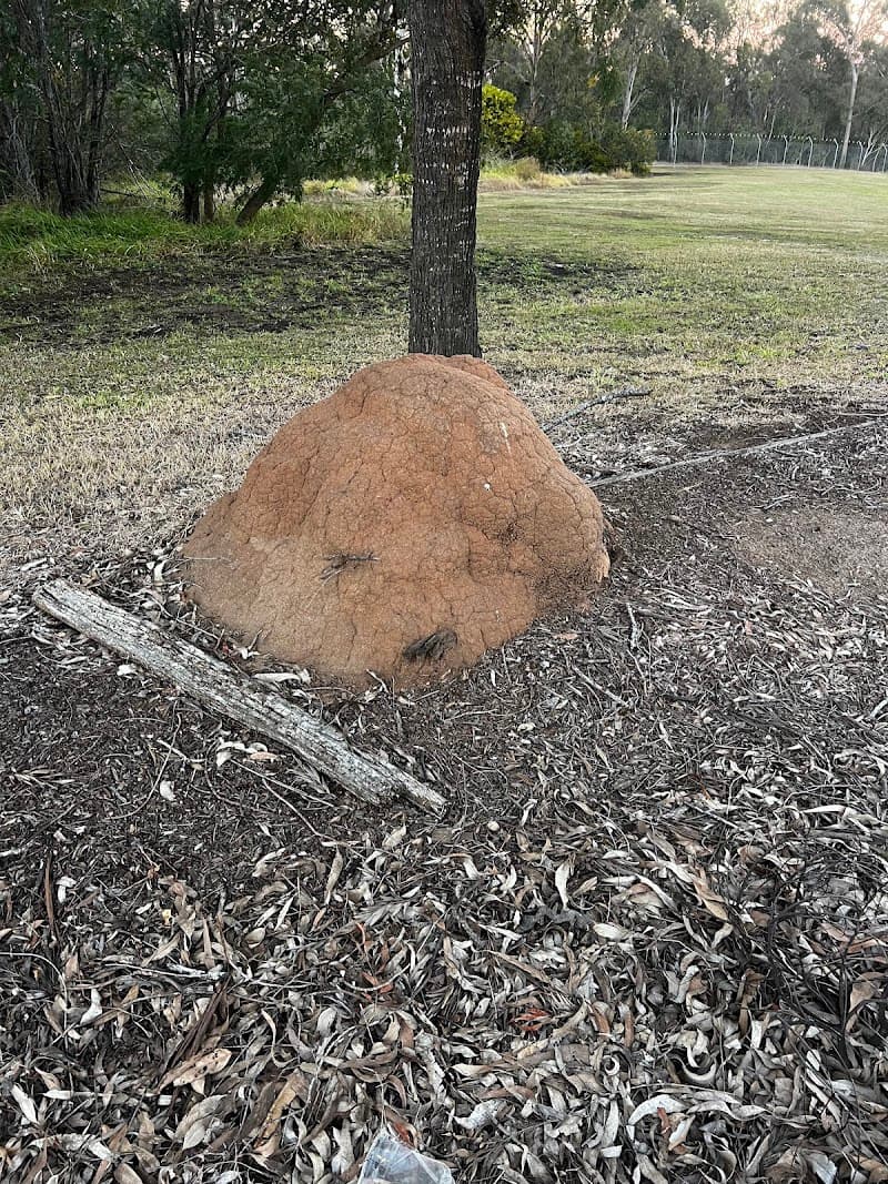 Scientific Pest and Vegetation Management pest control work in Kingston