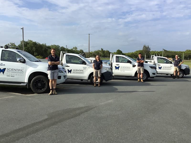 Scientific Pest Management pest control work in Buderim