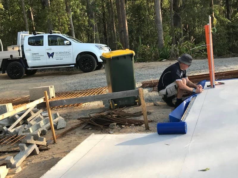 Scientific Pest Management pest control work in Buderim
