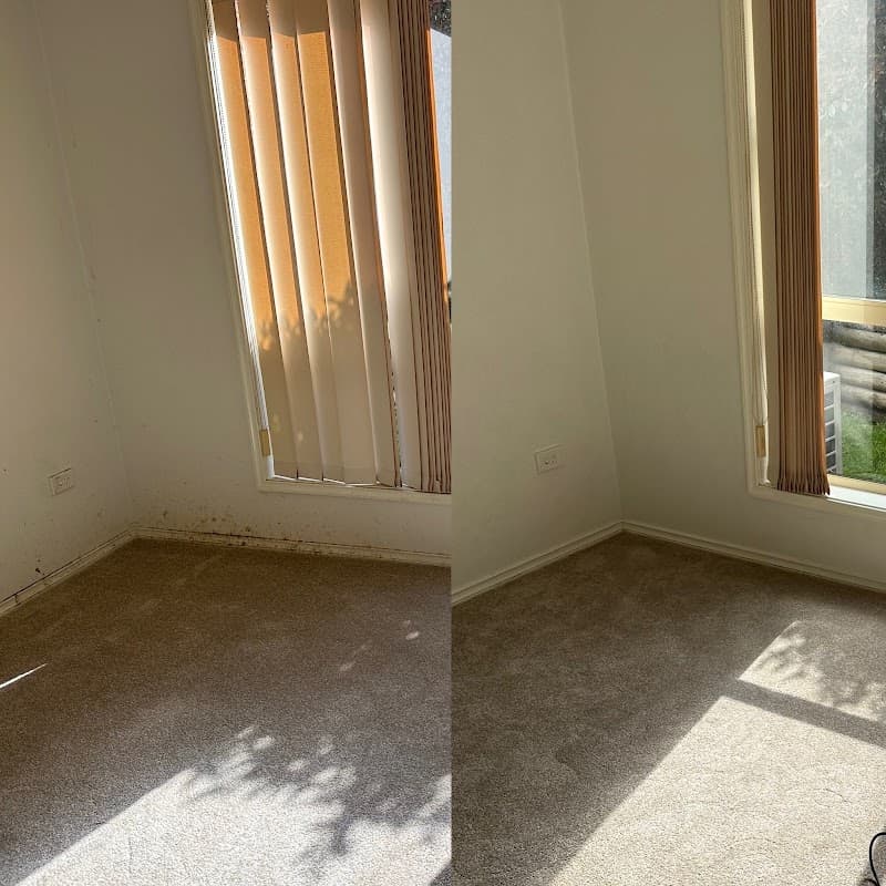 SDN Cleaning Services- Commercial Cleaning - Residential Cleaning Newcastle cleaning work in Maryville