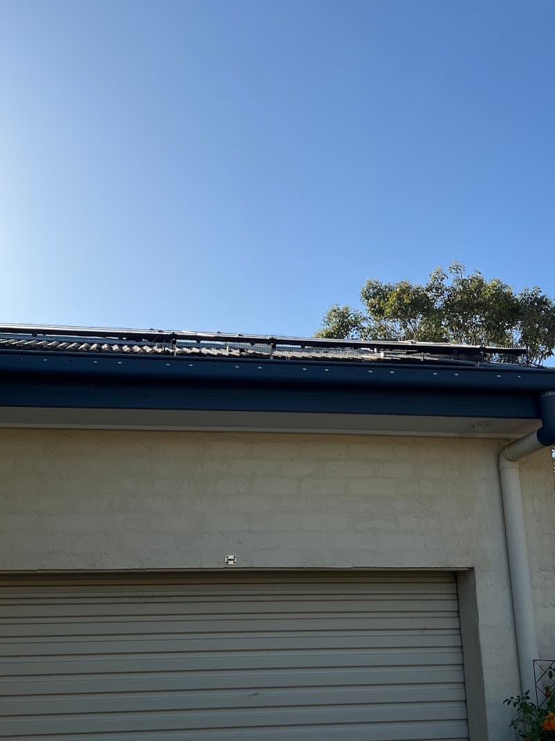 Second Opinion Pest Control pest control work in South Penrith