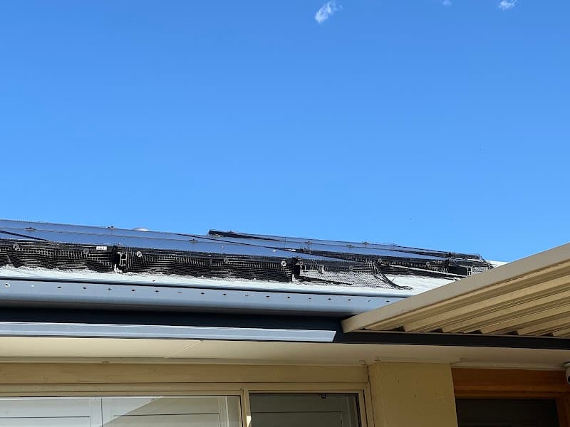 Second Opinion Pest Control pest control work in South Penrith