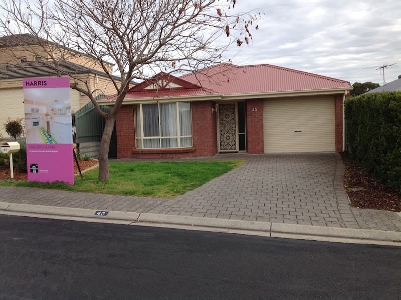 Select Building Inspections Adelaide pest control work in Adelaide