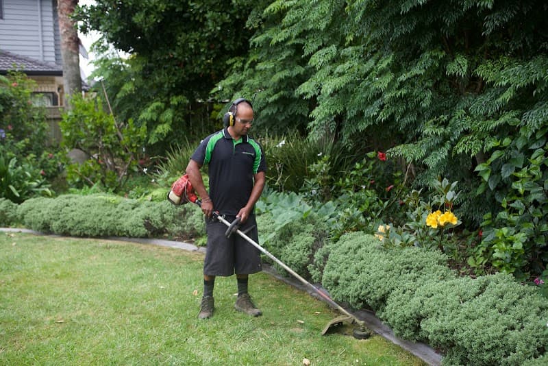 Select Lawn Mowing Western Sydney lawn care work in Parramatta