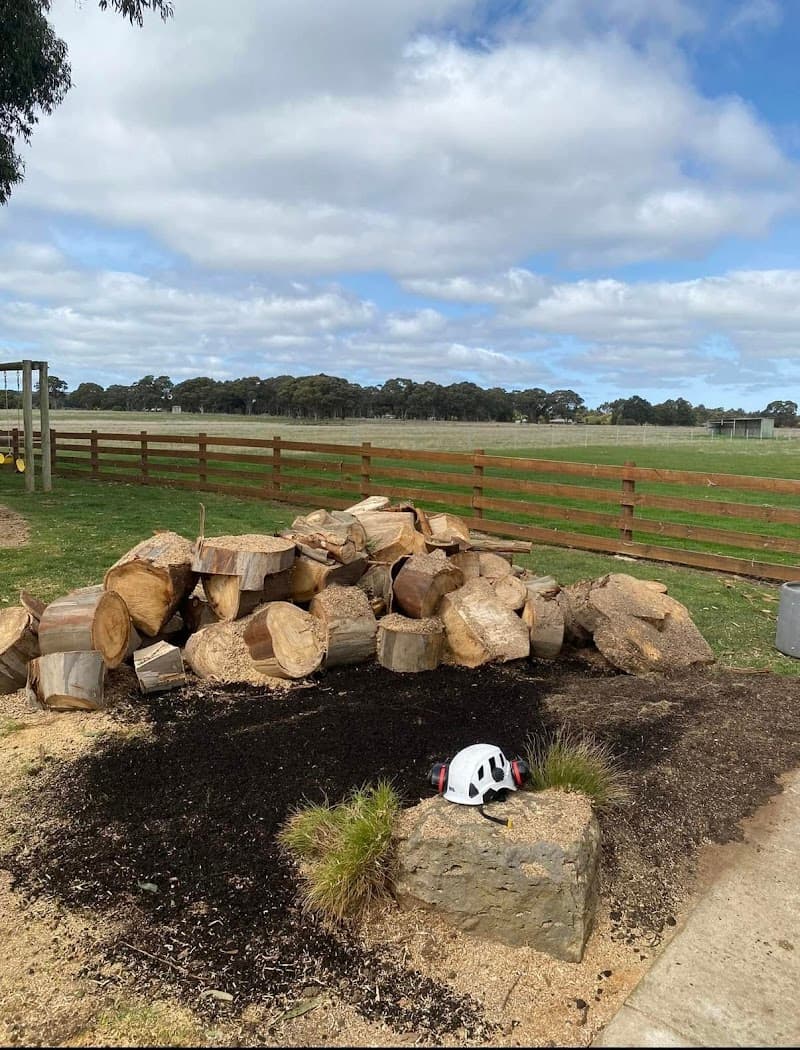 Select Trees tree services work in Wendouree