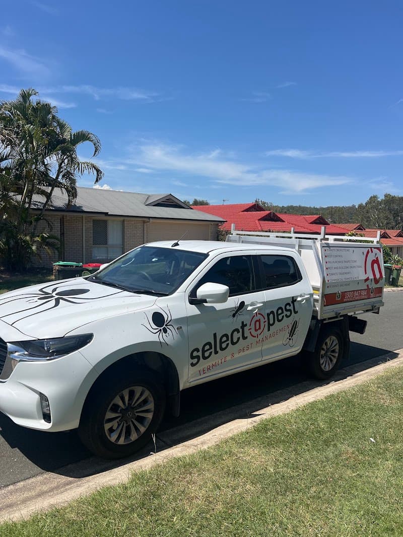 Selectapest pest control work in Robina