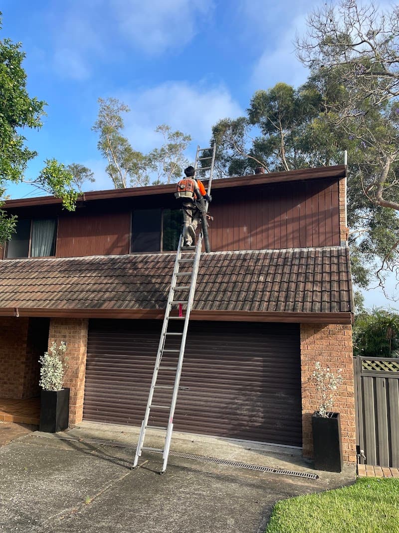 SGC Sydney Gutter Cleaning gutter cleaning work in Penshurst