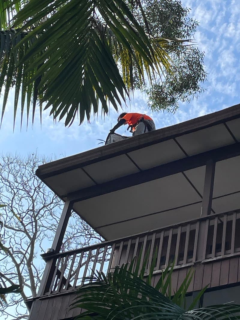 SGC Sydney Gutter Cleaning gutter cleaning work in Penshurst