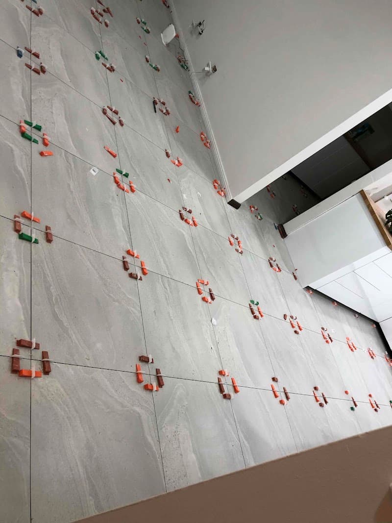 SH Express Tiling & Renovation tiling work in Blair Athol