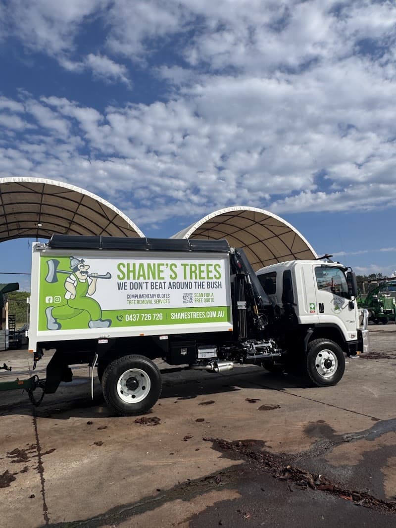 Shane's Trees tree services work in Kirrawee