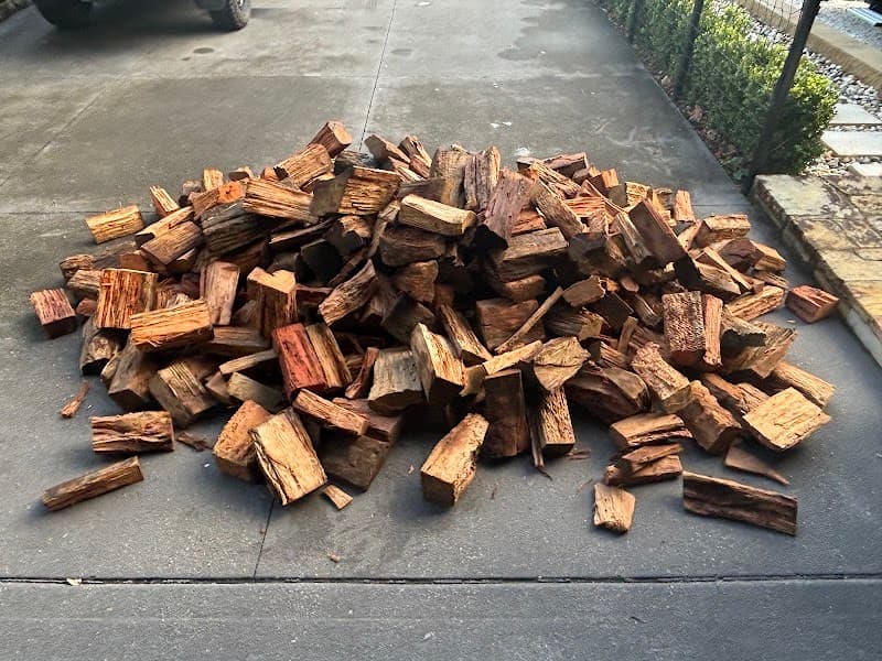 Shane's Trees tree services work in Kirrawee