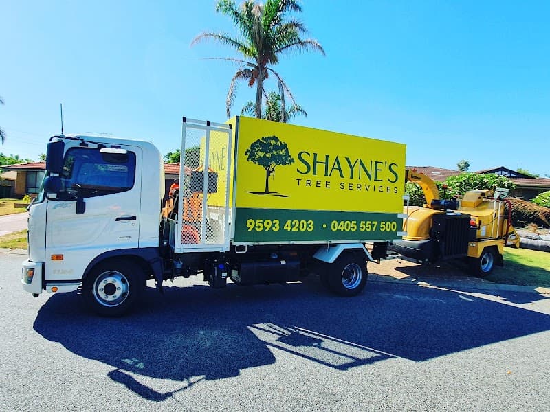 Shayne's Tree Services tree services work in Port Kennedy