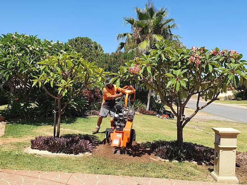 Shayne's Tree Services tree services work in Port Kennedy