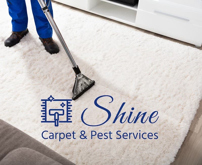 Shine Carpet Cleaning & Pest Services- Brisbane carpet cleaning work in Boondall