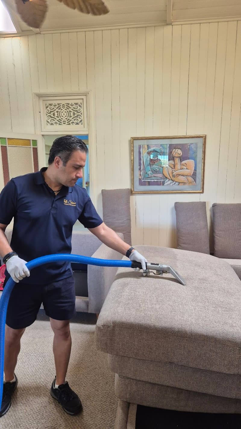 Shine Carpet Cleaning & Pest Services- Brisbane carpet cleaning work in Boondall