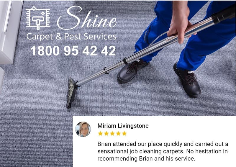 Shine Carpet Cleaning & Pest Services- Brisbane carpet cleaning work in Boondall
