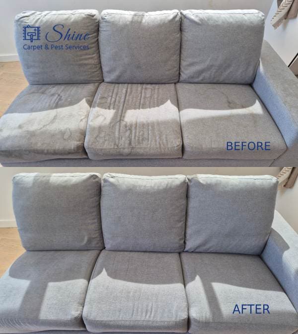 Shine Carpet Cleaning & Pest Services- Brisbane carpet cleaning work in Boondall