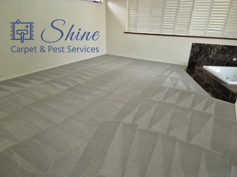 Shine Carpet Cleaning & Pest Services- Sunshine Coast carpet cleaning work in Buderim