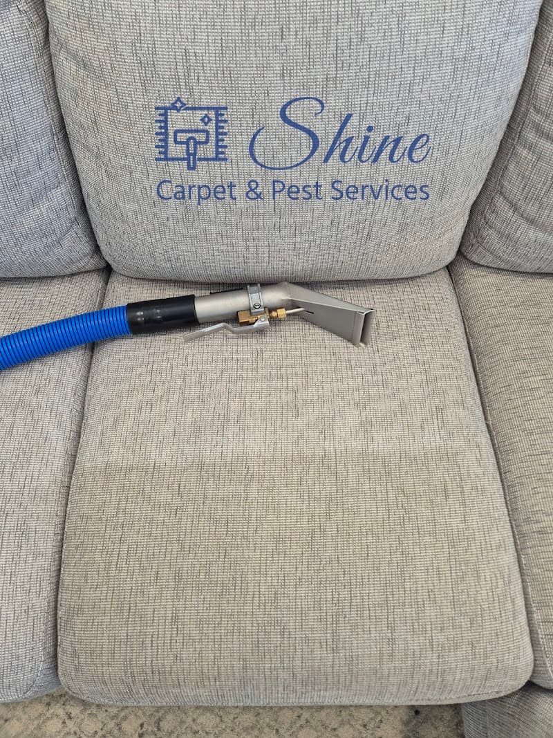 Shine Carpet Cleaning & Pest Services- Sunshine Coast carpet cleaning work in Buderim