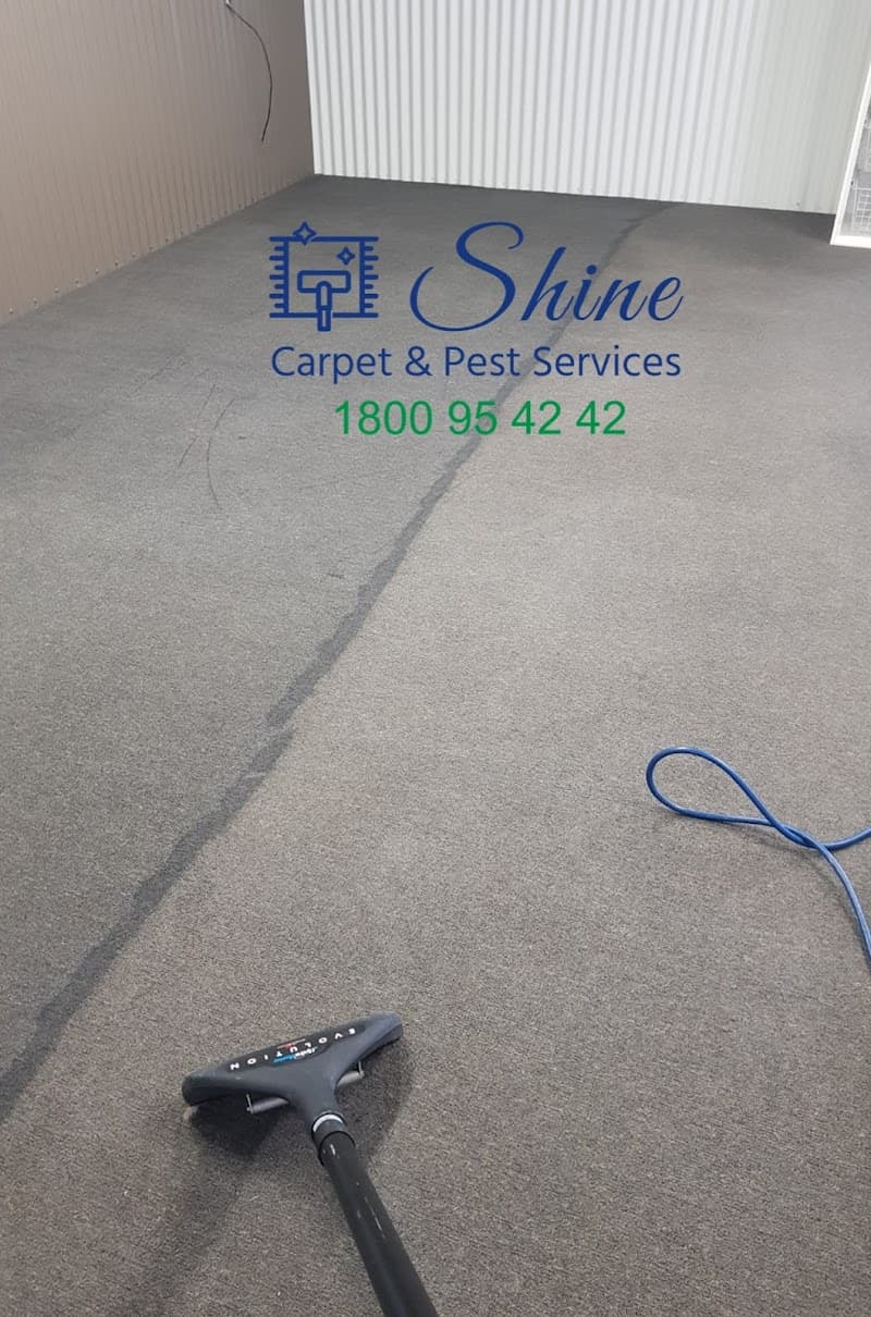 Shine Carpet Cleaning & Pest Services- Sunshine Coast carpet cleaning work in Buderim