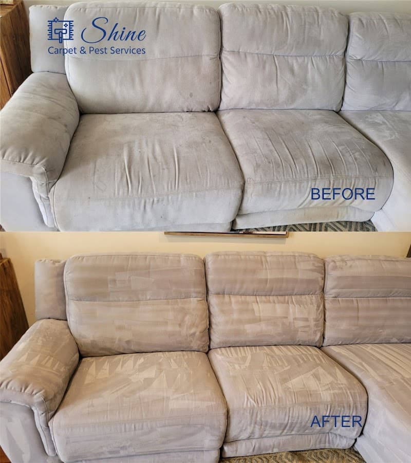 Shine Carpet Cleaning & Pest Services- Sunshine Coast carpet cleaning work in Buderim