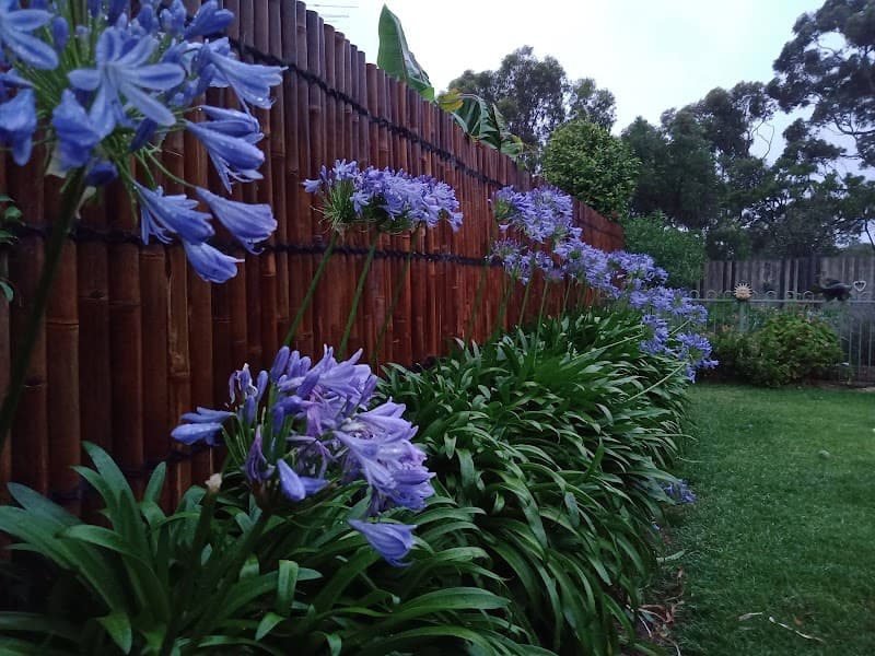 Shiny Handy People - Handyman Services handyman work in Leopold