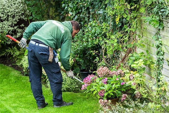 Shiny Handy People - Handyman Services handyman work in Leopold