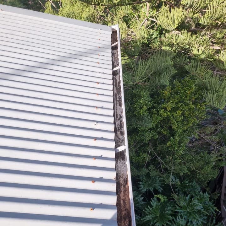 Shire Gutter Cleaners gutter cleaning work in Miranda