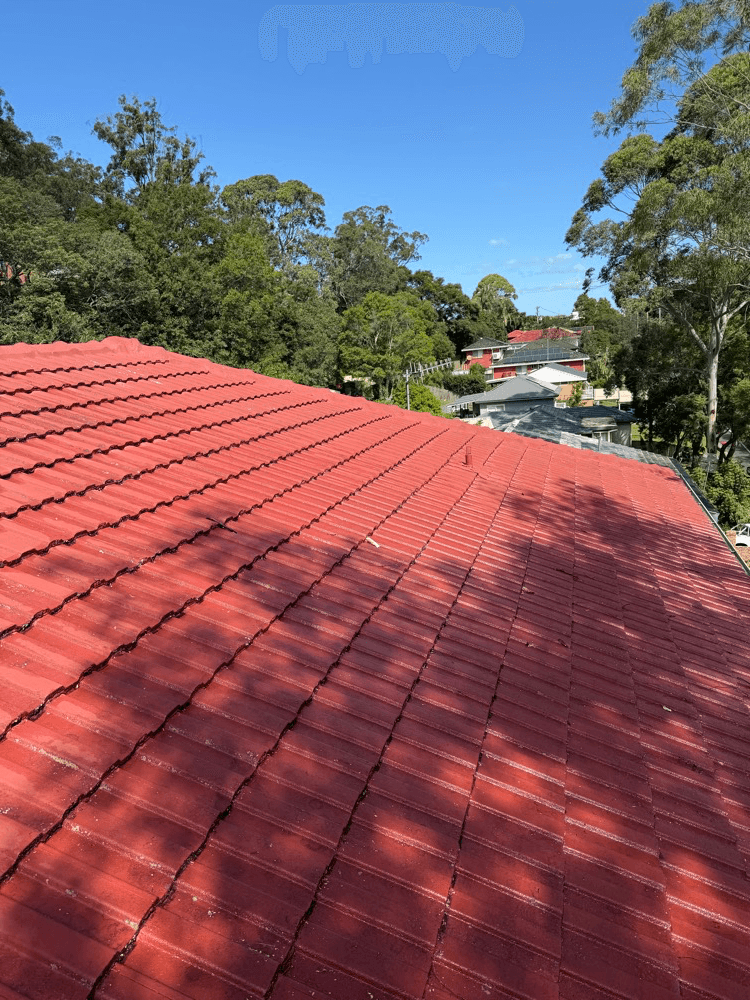 Shire Roofing roofing work in Taren Point
