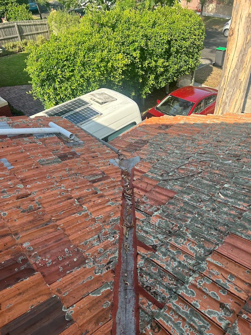 SHK Roof Restoration - Roof Restoration & Repairs Dandenong roofing work in Dandenong