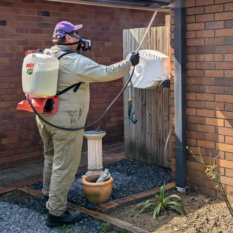 Shorty's Pest Management pest control work in Burpengary