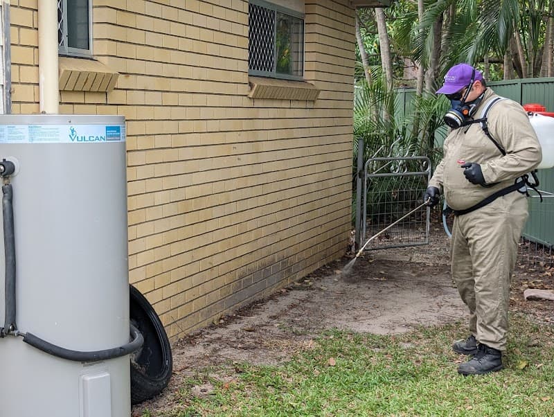 Shorty's Pest Management pest control work in Burpengary